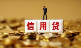 成都短借哪里可以民间借贷-成都短借私人借钱当天拿钱-成都短借贷款联系电话